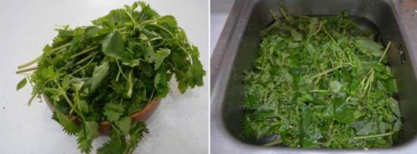 Омлет в духовке с сыром, простые и вкусные рецепты с фото
Омлет в духовке с сыром, простые и вкусные рецепты с фото
