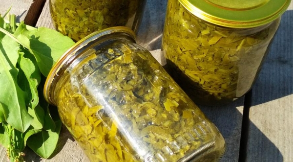 Щавель в банках на зиму, пошаговый рецепт с фото post thumbnail image