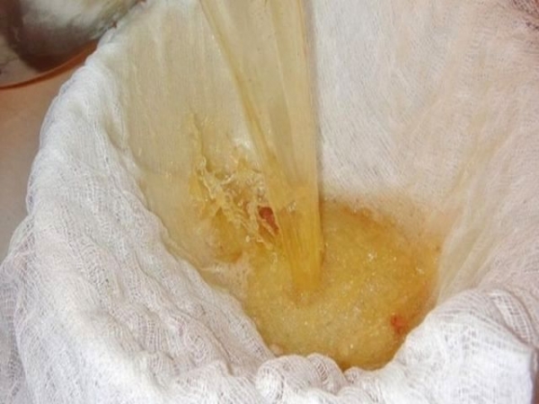 Вино из яблок в домашних условиях своими руками — простой рецепт приготовления
Вино из яблок в домашних условиях своими руками — простой рецепт приготовления