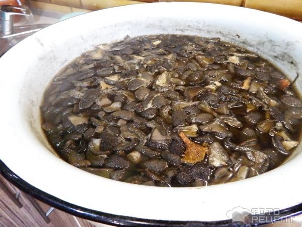 Рецепт: Лесные грибы отварные в заморозку - на все случаи жизни Рецепт: Лесные грибы отварные в заморозку - на все случаи жизни