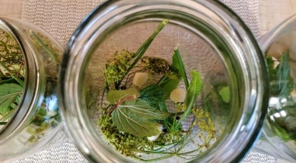 Огурчики по-болгарски, пошаговый рецепт с фото Огурчики по-болгарски, пошаговый рецепт с фото