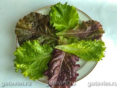 Салат из сыра с яйцом и красной редькой под острой заправкой