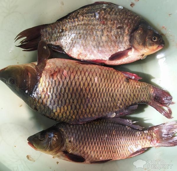 Рецепт: Карп запеченный — в духовке со сметаной и луком. post thumbnail image