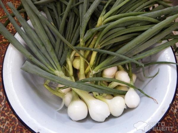 Рецепт: Зеленый лук в заморозку — Зимой как найдете post thumbnail image