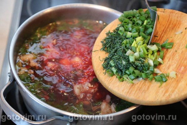 Ботвинник с мясом (суп с говядиной и свекольной ботвой) Ботвинник с мясом (суп с говядиной и свекольной ботвой)