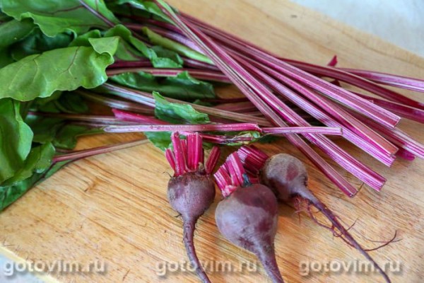 Ботвинник с мясом (суп с говядиной и свекольной ботвой) Ботвинник с мясом (суп с говядиной и свекольной ботвой)