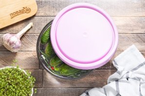 Малосольные огурчики Малосольные огурчики