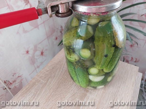 Огурцы с луком на зиму