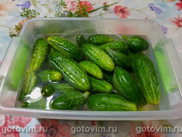 Огурцы с луком на зиму