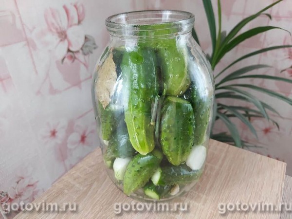 Огурцы с луком на зиму