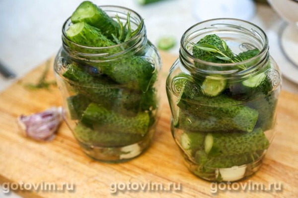 Маринованные огурцы с тархуном