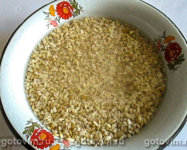 Перловая каша с утиным мясом и зирой в мультиварке Перловая каша с утиным мясом и зирой в мультиварке