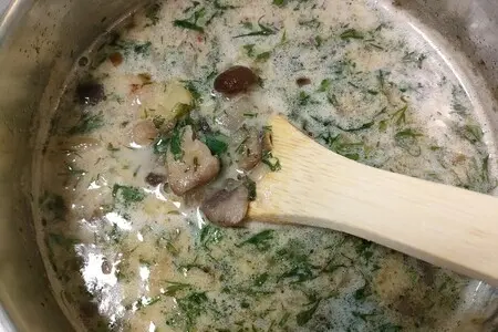 Кулайда - чешский грибной суп Кулайда - чешский грибной суп