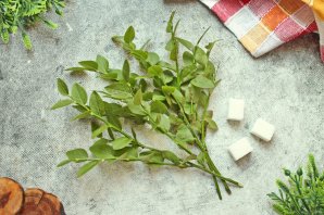 Чай из листьев черники