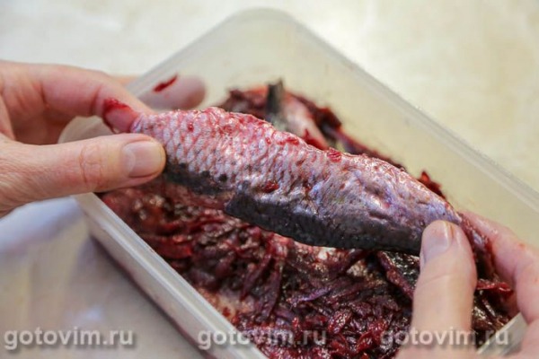 Иваси соленая (со свеклой)