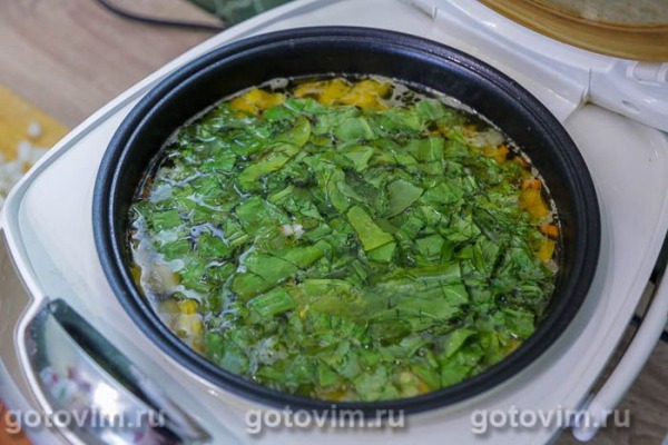 Суп с говядиной и щавелем в мультиварке