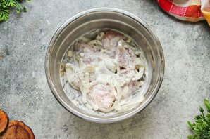 Вкусный шашлык из курицы