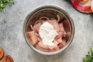 Вкусный шашлык из курицы