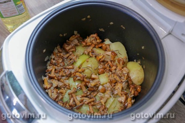 Молодой картофель, жаренный дольками с лисичками в мультиварке