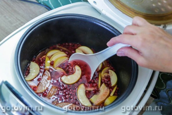 Компот из красной смородины с яблоками в мультиварке