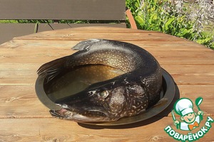 Котлеты из щуки с икорным соусом