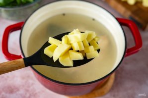 Щи рахмановские